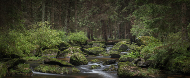 Höllfall, Waldviertel, Österreich