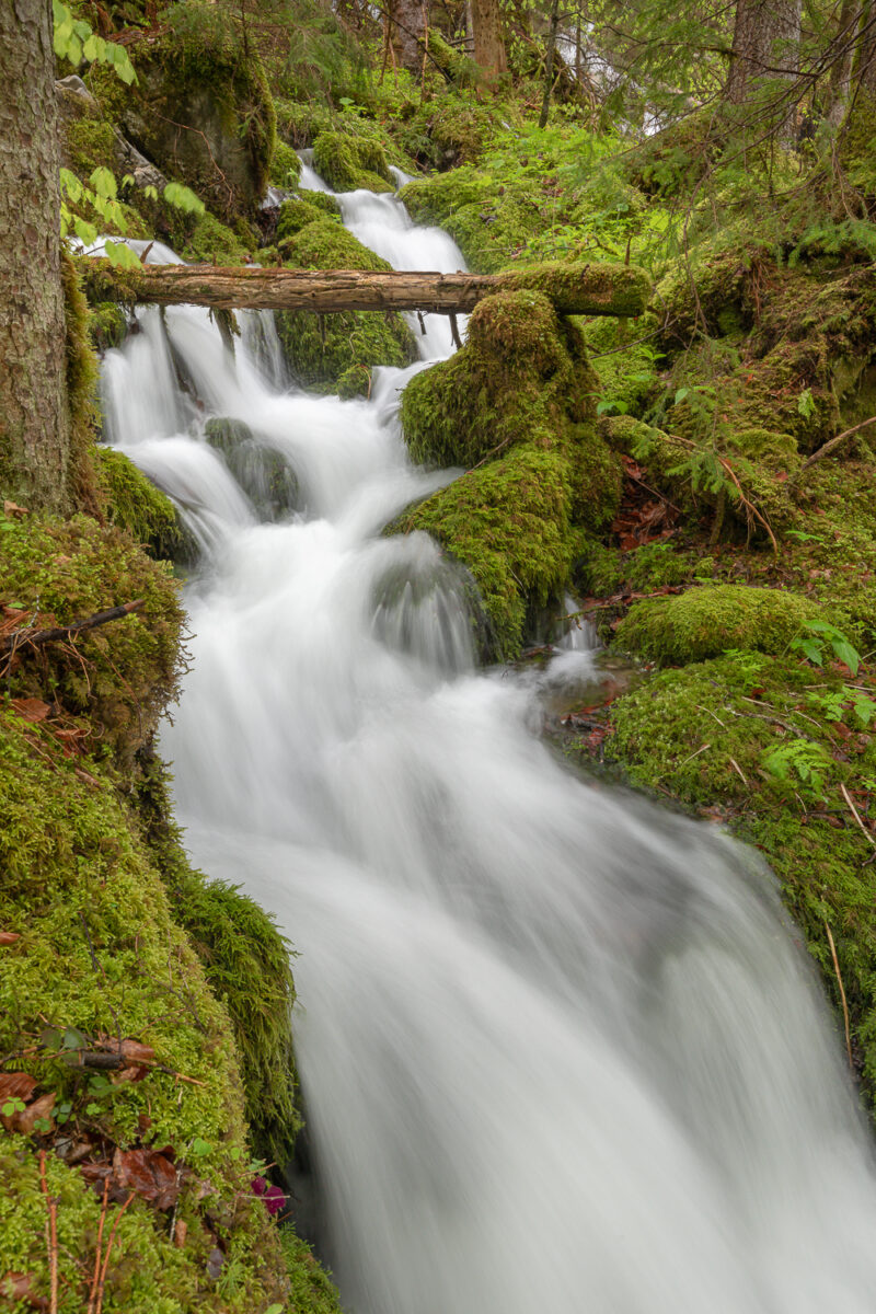 Wildalpen, Salzatal, Steiermark, Österreich