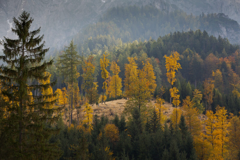 Nationalpark Gesäuse, Österreich