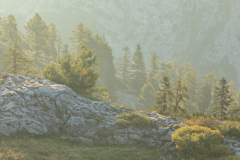 Loseralm, Steiermark, Österreich