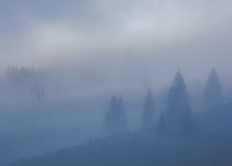 Kroisnalm, Nationalpark Gesäuse, Steiermark, Österreich