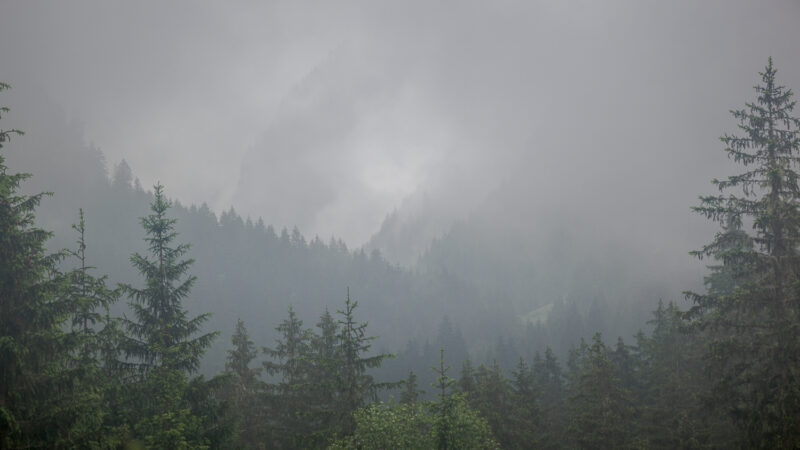 Untersulzbachtal, Nationalpark Hohe Tauern