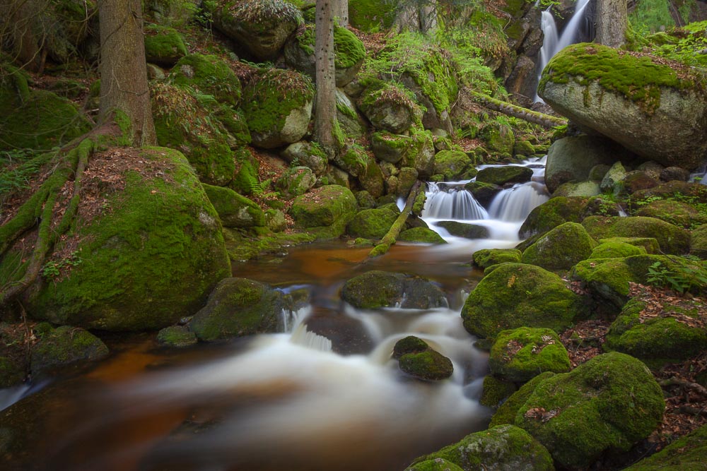 Kreativer Fotoworkshop in der Ysperklamm im Herbst, Niederösterreich. Fotografen bei der Arbeit an Wasserfällen, moosbewachsenen Felsen und idyllischen Landschaften.