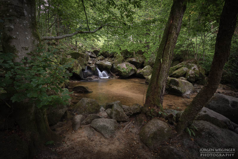 Kleiner Wasserfall in einem Waldgebiet der Stillensteinklamm