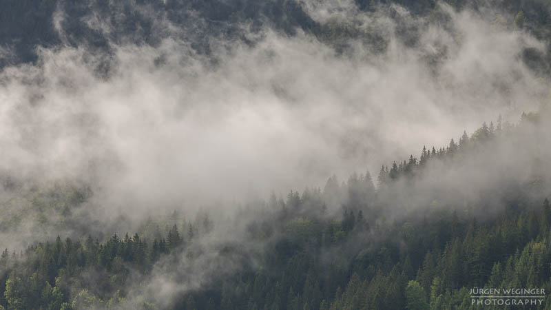 Bewaldeter Berghang im Nebel und Wolken