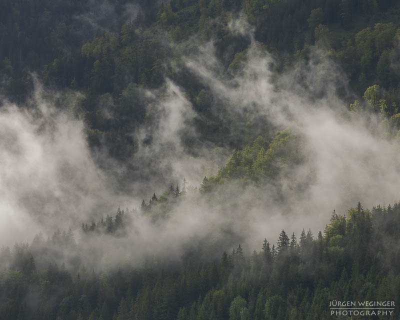 Bewaldeter Berghang im Nebel und Wolken