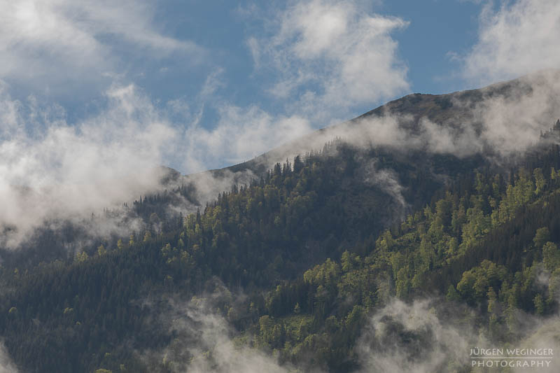 Bewaldeter Berghang im Nebel und Wolken