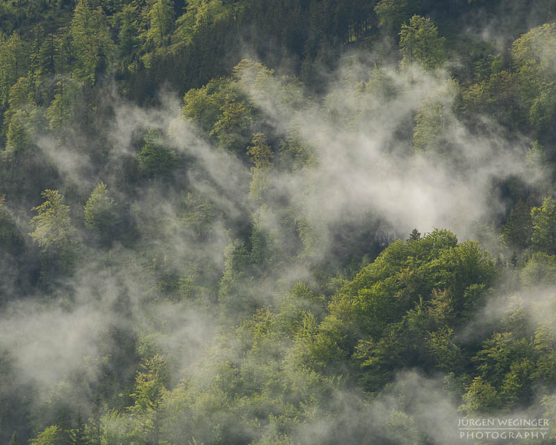 Bewaldeter Berghang im Nebel und Wolken