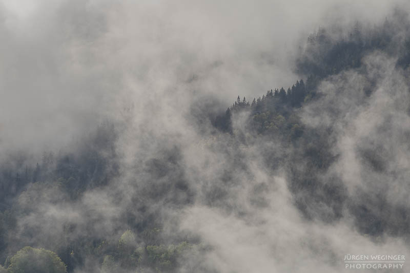 Bewaldeter Berghang im Nebel und Wolken