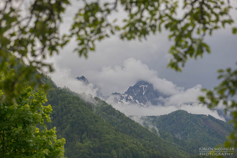 Berg im Hintergrund umrahmt von Ästen