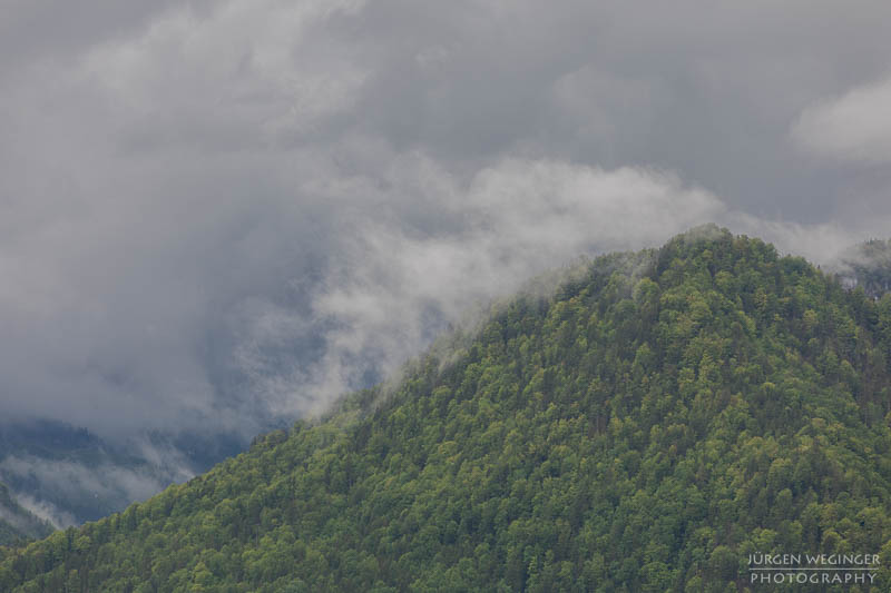 Bewaldeter Berghang im Nebel und Wolken