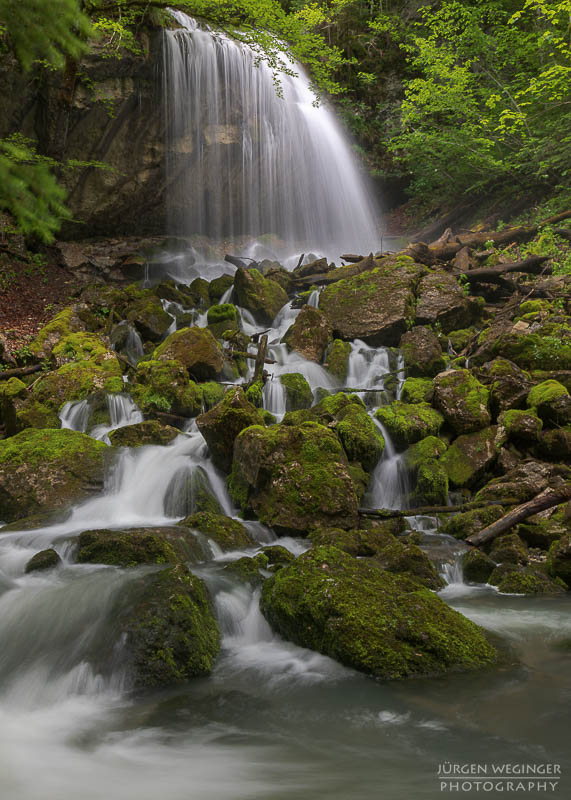 Wasserfall in einem dichten Wald mit moosbedeckten Felsen und grünem Laub