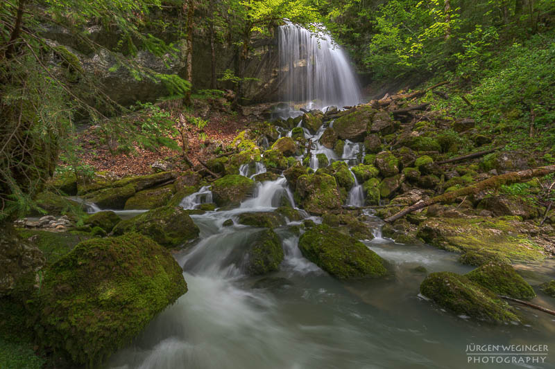 Wasserfall in einem dichten Wald mit moosbedeckten Felsen und grünem Laub