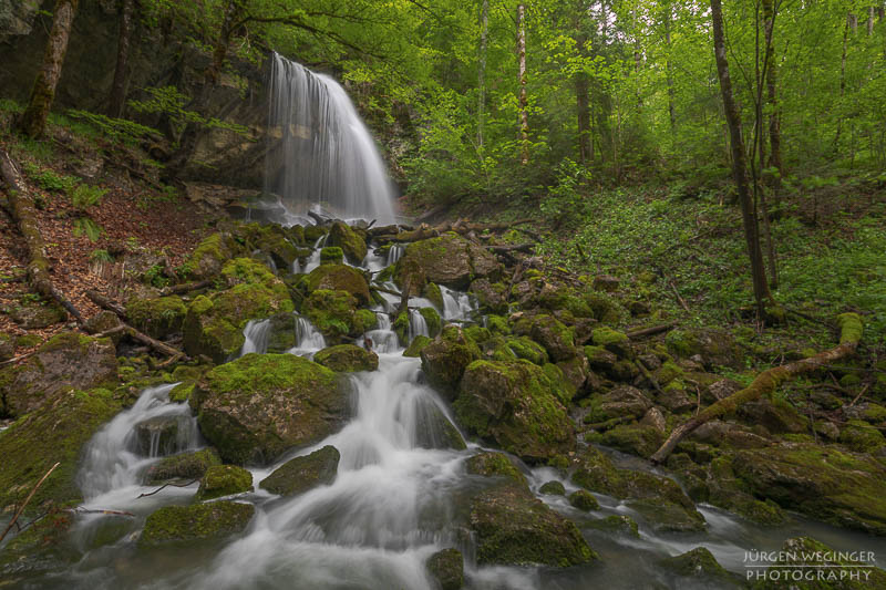 Wasserfall in einem dichten Wald mit moosbedeckten Felsen und grünem Laub