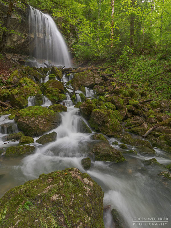 Wasserfall in einem dichten Wald mit moosbedeckten Felsen und grünem Laub