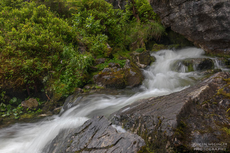 Ein Fluss in einem Waldgebiet