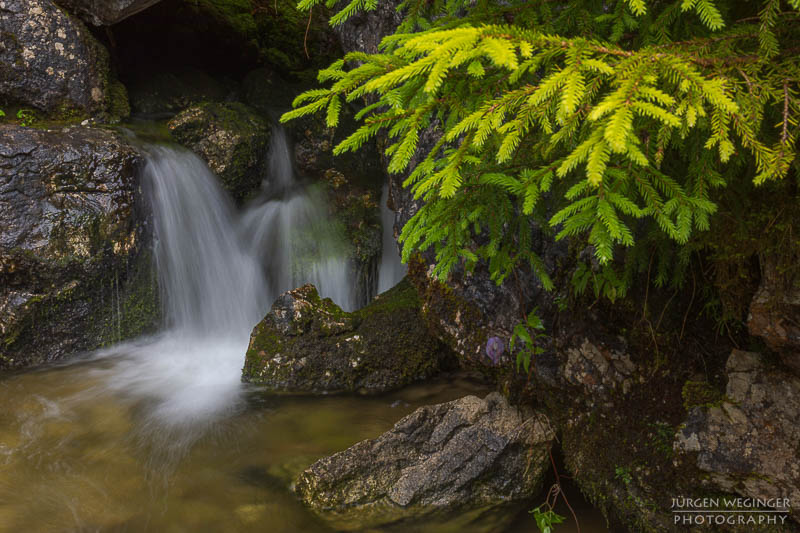 Kleiner Wasserfall mit einem Nadelbaum im Vordergrund