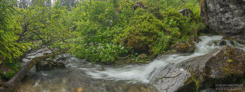 Ein Fluss in einem Waldgebiet