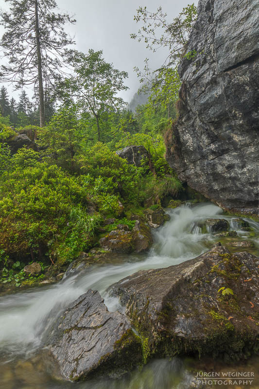 Ein Fluss in einem Waldgebiet