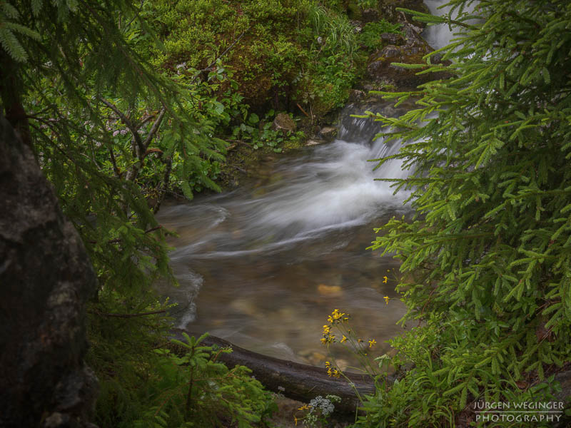 Ein Fluss in einem Waldgebiet