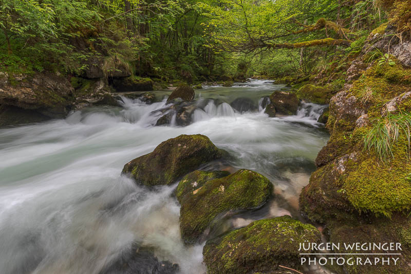 Ein fließender Gebirgsbach, der durch eine grüne, bewaldete Landschaft fließt. Große, moosbedeckte Felsen ragen aus dem Wasser hervor, während das Wasser um sie herum strömt. Im Hintergrund sind dichte, grüne Bäume zu sehen. 