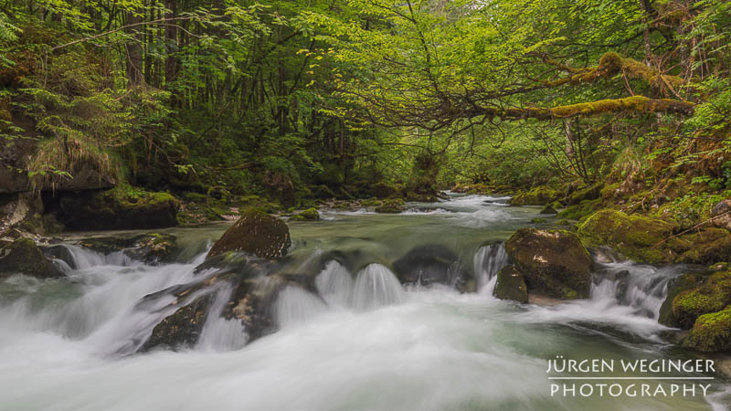 Ein fließender Gebirgsbach, der durch eine grüne, bewaldete Landschaft fließt. Große, moosbedeckte Felsen ragen aus dem Wasser hervor, während das Wasser um sie herum strömt. Im Hintergrund sind dichte, grüne Bäume zu sehen.