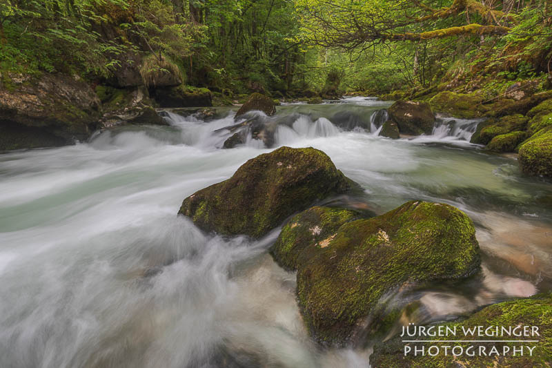 Ein fließender Gebirgsbach, der durch eine grüne, bewaldete Landschaft fließt. Große, moosbedeckte Felsen ragen aus dem Wasser hervor, während das Wasser um sie herum strömt. Im Hintergrund sind dichte, grüne Bäume zu sehen.