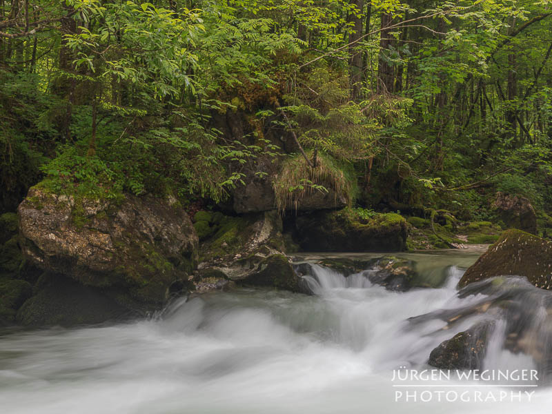 Ein fließender Gebirgsbach, der durch eine grüne, bewaldete Landschaft fließt. Große, moosbedeckte Felsen ragen aus dem Wasser hervor, während das Wasser um sie herum strömt. Im Hintergrund sind dichte, grüne Bäume zu sehen.