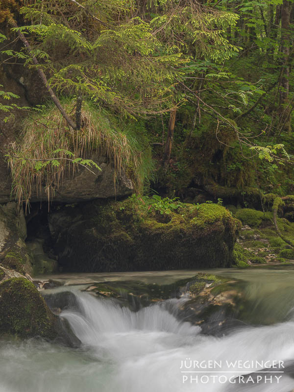 Ein fließender Gebirgsbach, der durch eine grüne, bewaldete Landschaft fließt. Große, moosbedeckte Felsen ragen aus dem Wasser hervor, während das Wasser um sie herum strömt. Im Hintergrund sind dichte, grüne Bäume zu sehen.