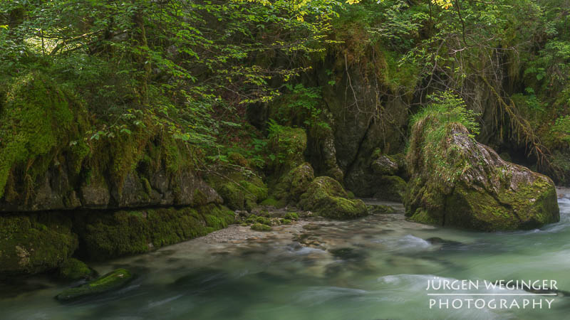 Ein felsiger Waldboden mit moosbedeckten Steinen und Felsen. Auf einem großen Felsen wächst Gras und eine kleine Pflanze. Im Hintergrund sind steile, dunkle Felswände zu sehen, die von üppiger Vegetation und herunterhängenden Ästen umgeben sind. Das Bild vermittelt eine ruhige, naturbelassene Atmosphäre.