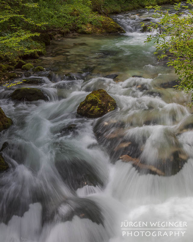 Ein fließender Gebirgsbach, der durch eine grüne, bewaldete Landschaft fließt. Große, moosbedeckte Felsen ragen aus dem Wasser hervor, während das Wasser um sie herum strömt. Im Hintergrund sind dichte, grüne Bäume zu sehen.