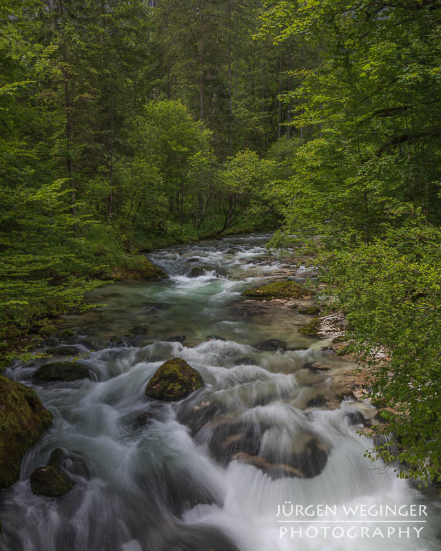 Ein fließender Gebirgsbach, der durch eine grüne, bewaldete Landschaft fließt. Große, moosbedeckte Felsen ragen aus dem Wasser hervor, während das Wasser um sie herum strömt. Im Hintergrund sind dichte, grüne Bäume zu sehen.