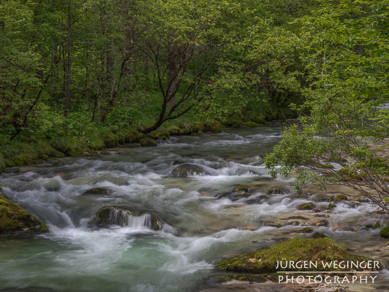 Ein fließender Gebirgsbach, der durch eine grüne, bewaldete Landschaft fließt. Große, moosbedeckte Felsen ragen aus dem Wasser hervor, während das Wasser um sie herum strömt. Im Hintergrund sind dichte, grüne Bäume zu sehen.