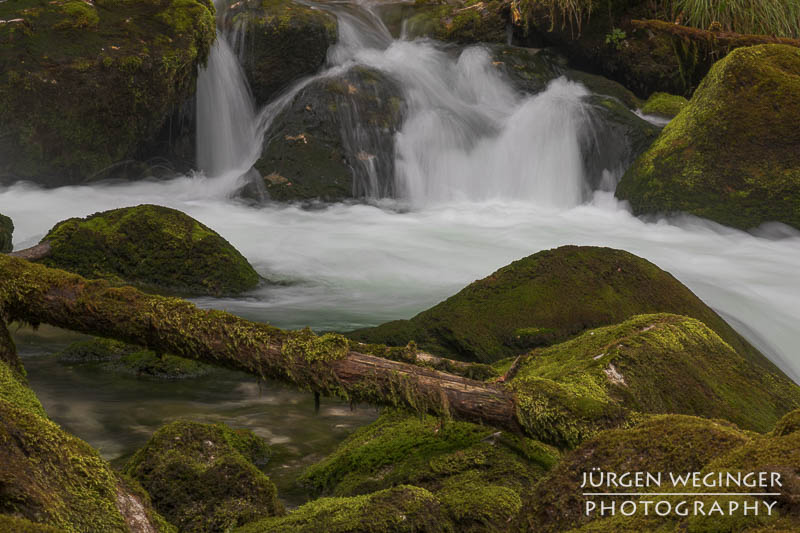 Ein kleiner Wasserfall, der durch eine grüne, bewaldete Landschaft fließt. Große, moosbedeckte Felsen ragen aus dem Wasser hervor, während das Wasser um sie herum strömt. Im Vordergrund ist ein umgestürzter Baum zu sehen.