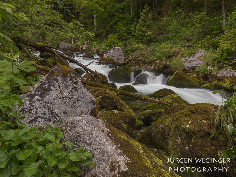 Ein fließender Gebirgsbach, der durch eine grüne, bewaldete Landschaft fließt. Große, moosbedeckte Felsen ragen aus dem Wasser hervor, während das Wasser um sie herum strömt. Im Hintergrund sind dichte, grüne Bäume zu sehen.