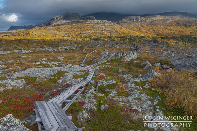 Ein Holzsteg führt über eine arktische Landschaft im Herbst. Im Hintergrund ist ein Gebirge zu sehen