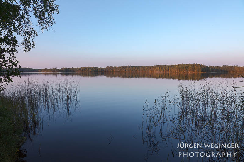 Ein See im Abendlicht mit Gräser im Vordergrund und einem Wald im Hintergrund