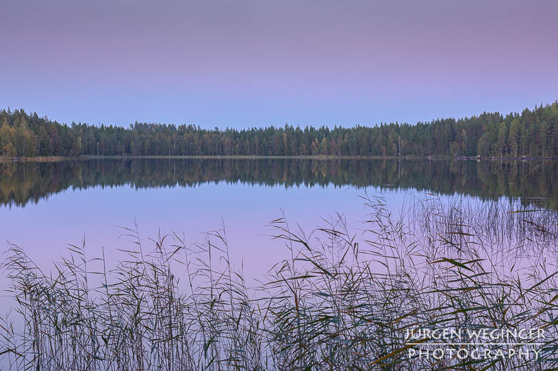 Ein See im Abendlicht mit Gräser im Vordergrund und einem Wald im Hintergrund