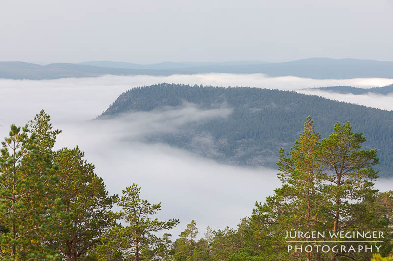 Nebelschwaden in den schwedischen Bergen: Ein dichter Nebel hüllt die Bergspitzen ein und schafft eine mystische Atmosphäre. #Schweden #Naturfotografie #Nebel #Berge #Wald