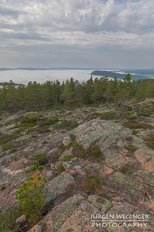 Nebelschwaden in den schwedischen Bergen: Ein dichter Nebel hüllt die Bergspitzen ein und schafft eine mystische Atmosphäre. #Schweden #Naturfotografie #Nebel #Berge #Wald