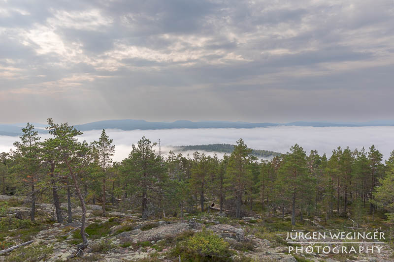 Nebelschwaden in den schwedischen Bergen: Ein dichter Nebel hüllt die Bergspitzen ein und schafft eine mystische Atmosphäre. #Schweden #Naturfotografie #Nebel #Berge #Wald