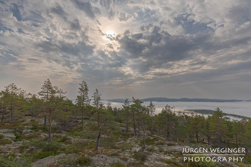 Nebelschwaden in den schwedischen Bergen: Ein dichter Nebel hüllt die Bergspitzen ein und schafft eine mystische Atmosphäre. #Schweden #Naturfotografie #Nebel #Berge #Wald