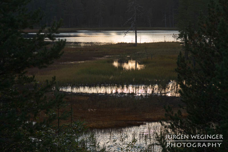 Abendstimmung an einem kleinen See in Schweden von einem Wald umgeben. Sehr dunkles bild