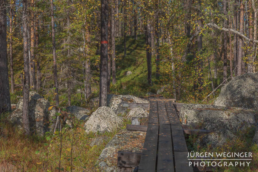 Landschaftsfotografie im Muddus Nationalpark