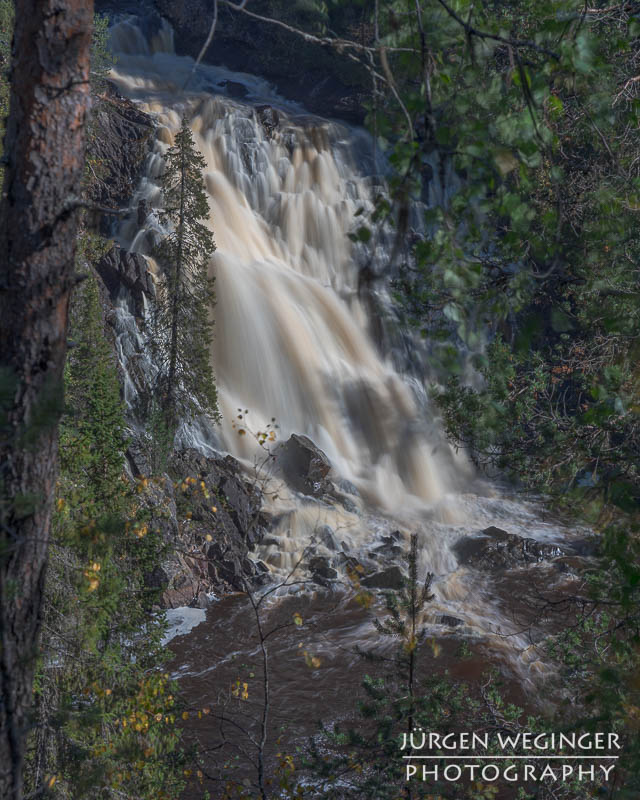 Ein Wasserfall in einer Schlucht umgeben von einem Wald im Muddus Nationalpark, Schweden