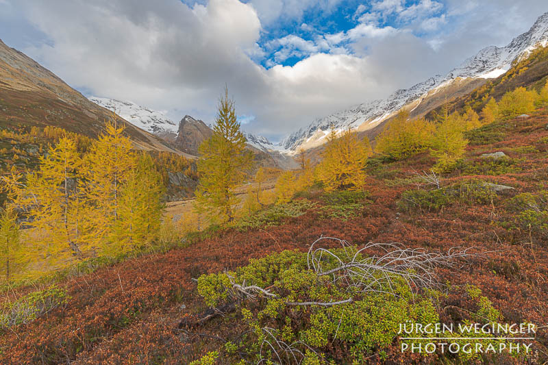 Bilder vom goldenen Herbst in der Schweiz!