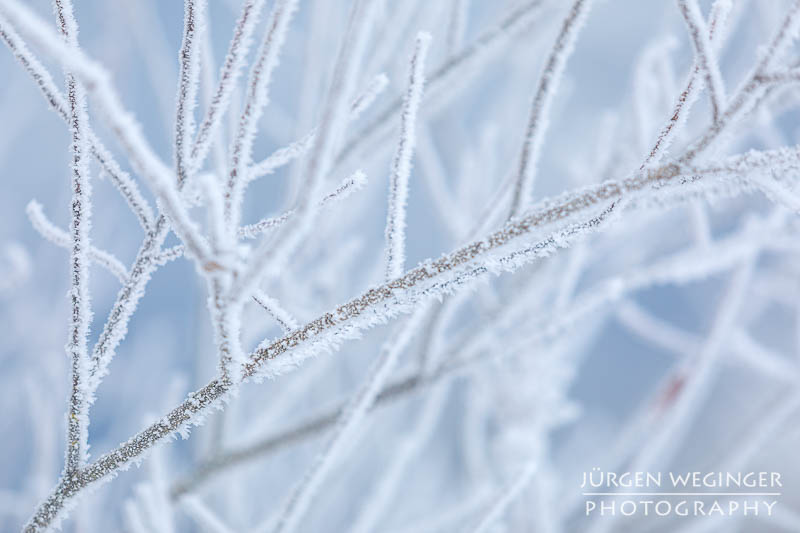 Frostüberzogene Äste im Gegenlicht. Winter in Admont, Steiermark