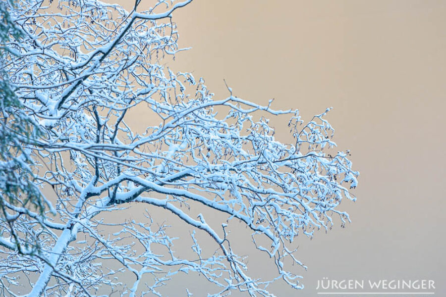 Chaos in einer Winterlandschaft beherrschen