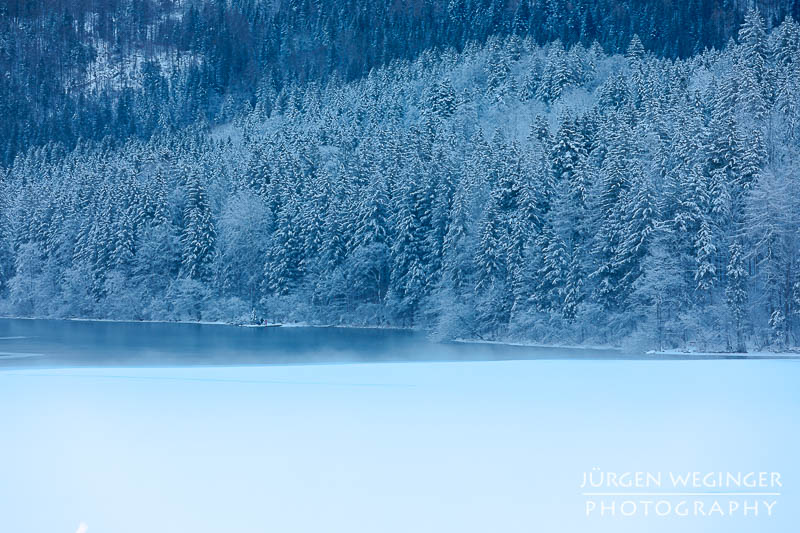 Ein Wald an einem See im Winter der im Schatten liegt. Ein sehr kühles Bild. Lunzer See